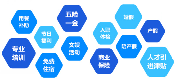 提供全面、系統(tǒng)、專業(yè)的培訓(xùn)和廣闊的<br>職業(yè)發(fā)展空間和提升機(jī)會